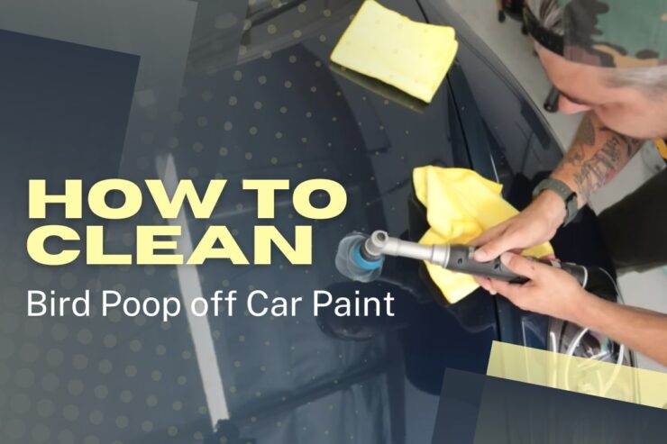 Cleaning bird poop off car